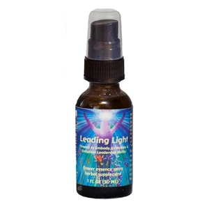 Flower Essence Services Leading Light Flourish Plus Formula Herbal Supplement Supports Directed Energy and Inspired Action 1Oz (30ml)