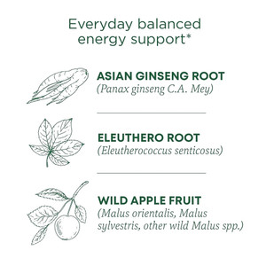Traditional Medicinals Organic Stress Ease Focus Ginseng Wild Apple Mint Tea Bags 0.99Oz (28g)