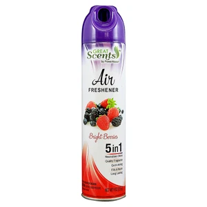 Great Scents Bright Berries Air Freshener for Odor Elimination 9Oz (255g), Pack of 12
