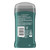 Degree Men Arctic Edge Deodorant Cool Mint and Mandarin Scent Sweat and Odor Protection Stick 3Oz (85g)