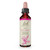Bach Original Flower Essences Restore Endurance for Naturally Occurring Nervous Tension Oak 0.7Oz (20ml)