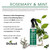 Difeel Hair Growth Rosemary and Mint Leave In Conditioning Spray with Biotin 6Oz (177ml)