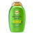 OGX Rosemary Mint Refresh Clarify Conditioner Scalp Refreshing Hydrating Hair Care 13Oz (385ml)