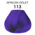 Adore 113 African Violet Shining Semi Permanent Hair Color Ammonia Free 4Oz (118ml)