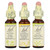 Bach Original Flower Remedies Mental Energy Emotional Ups and Downs 3 Droppers Kit Relief of Nervous Tension 1Ea
