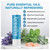 Moxe Breathe Nasal Inhaler Stick Crafted with Peppermint Eucalyptus Support Sinus and Congestion Relief 1Ea