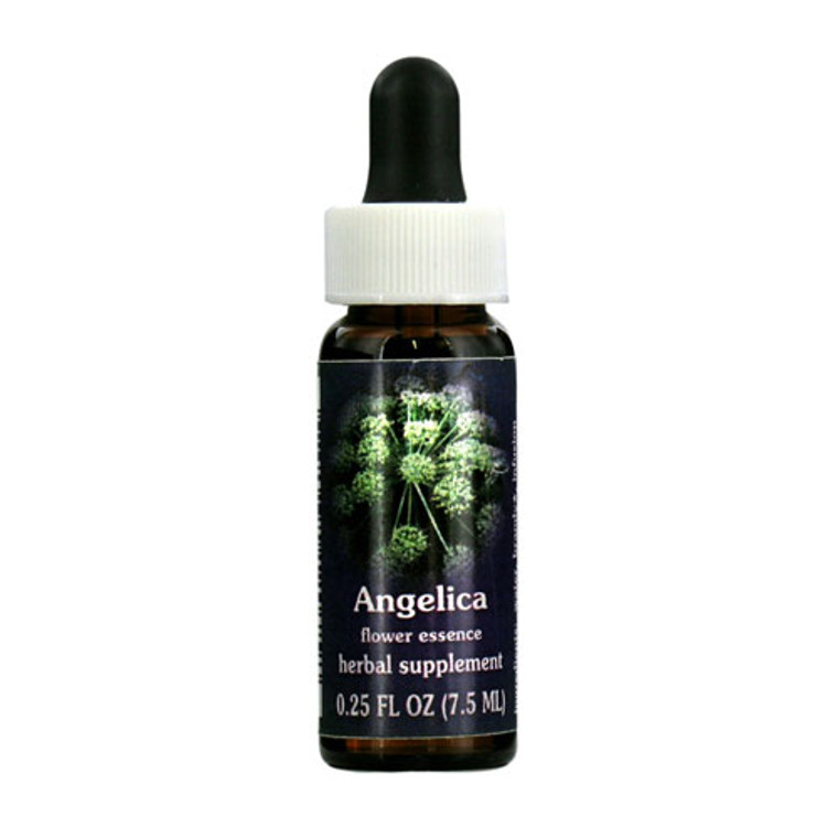 Flower Essence Angelica Herbal Supplement Dropper, 0.25 Oz
