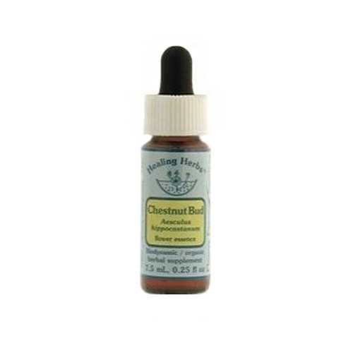 Flower Essence Chestnut Bud Herbal Supplement Dropper - 0.25 Oz