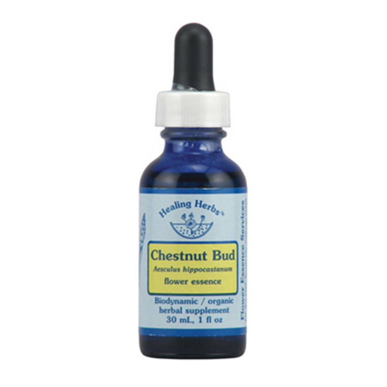 Chestnut Bud Herbal Supplement Dropper By Flower Essence - 1 Oz