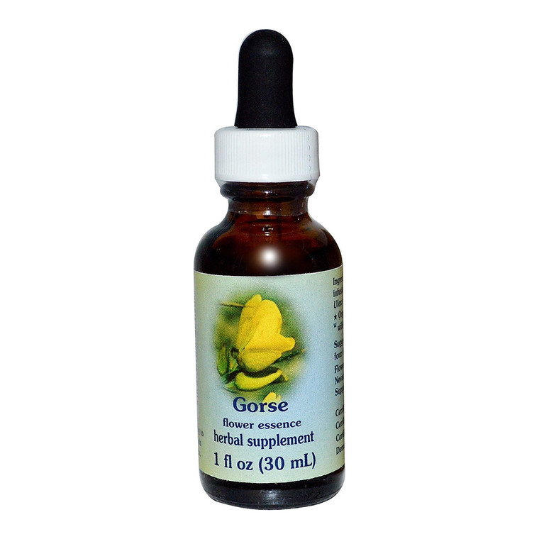 Gorse Herbal Supplement Dropper By Flower Essence, 1 Oz