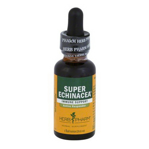 Herb Pharm Super Echinacea Liquid Immune Support Herbal Supplement, 1 Oz