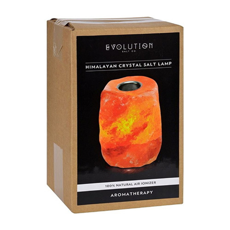 Evolution Salt Crystal Salt Lamp Aromatherapy, 1 Ea