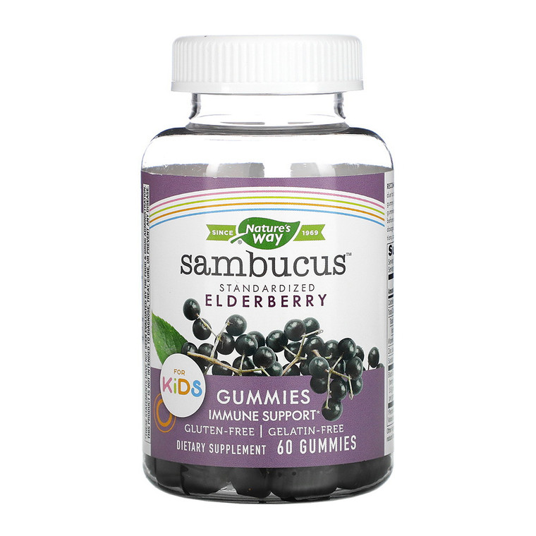 Natures Way Sambucus Standardized Elderberry Gummies for Kids, 60 Ea