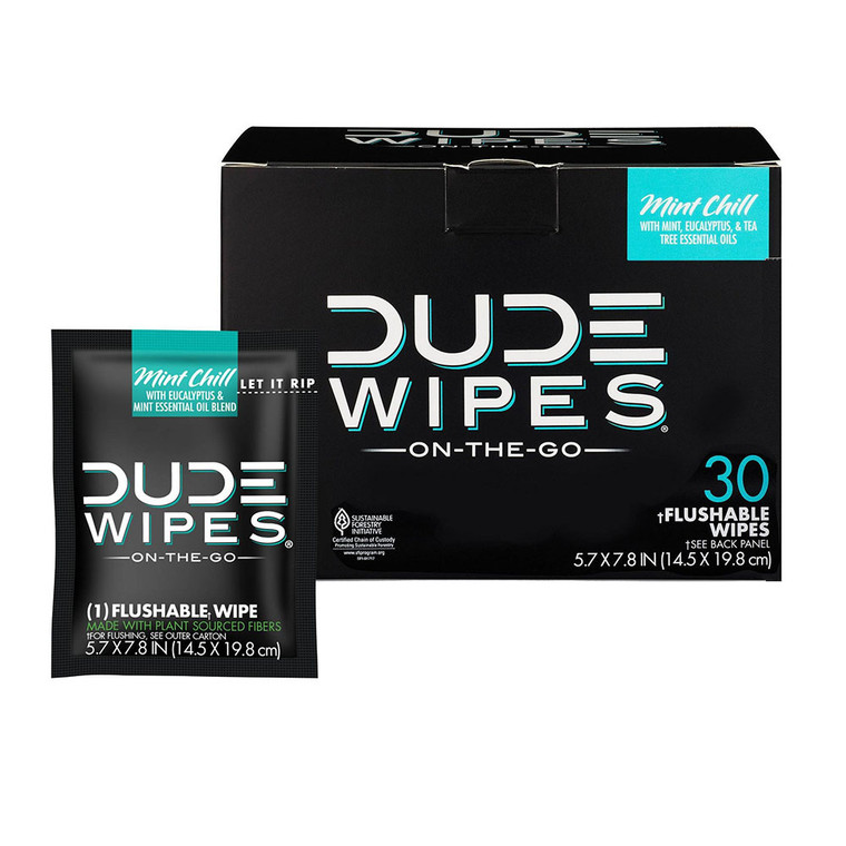 Dude Wipes Mint Chill On-The-Go Flushable Personal Wipes, 30 Ea