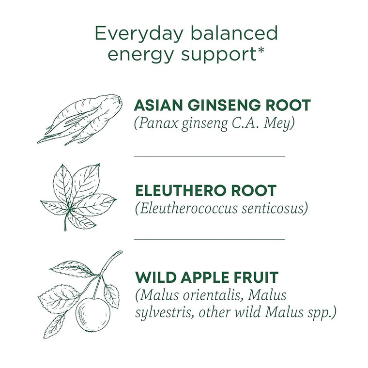 Traditional Medicinals Organic Stress Ease Focus Ginseng Wild Apple Mint Tea Bags 0.99Oz (28g)