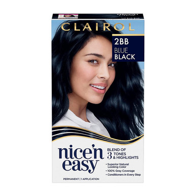 Clairol Natural Instincts Demi-Permanent Hair Dye 2BB Blue Black Hair Color  Pack of 1 2BB