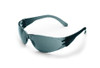 CHECKLITE GRAY LENS/FRAME SAFETY GLASS