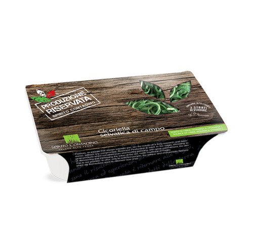 Cicoriella Salvatica Di Campo