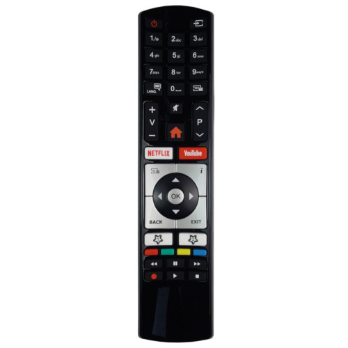 Genuine RC4318 / RC4318P TV Remote Control for Specific Nikkei Models