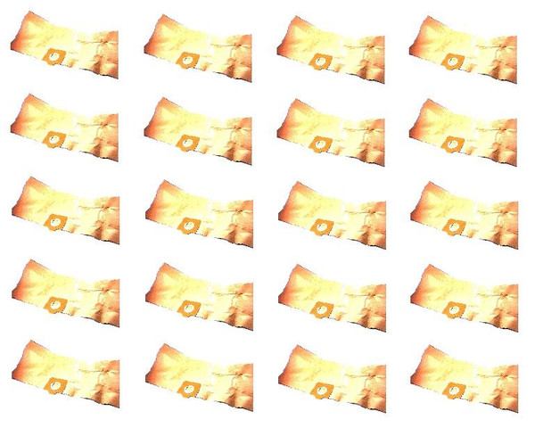 Replacement Bag x 20 for GOBLIN 1000 Vacuum Cleaner