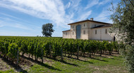 ​The Allure of Pomerol: A Hidden Gem in France's Wine Country