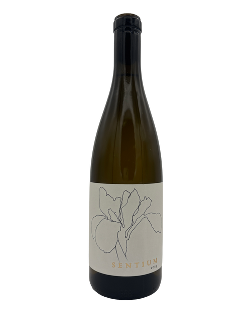 Sentium by Continuum Mendocino 2023 750ml