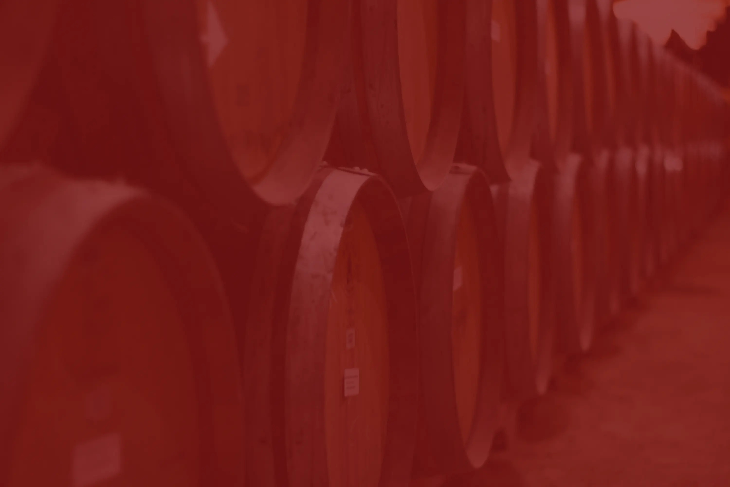 a long row of wine barrels