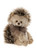 Charlie Bears 2023 Cuddle Time Collection hedgehog - Skedaddle