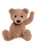 A light brown plush teddy bear sits upright facing forward, with black button eyes, a small black nose, and rounded ears, set against a plain white background.