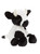 Buttercup Cow