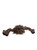 A brown fluffy spider-shaped Charlie Bears plush toy sits against a white background, featuring eight legs with dark tips and two small shiny eyes.