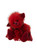 A deep red, fluffy Charlie Bears teddy bear sits upright against a white background, featuring shaggy fur, small ears, dark eyes, a velvet snout, and decorative lace trim.