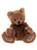 A brown plush teddy bear sits upright against a white background, wearing a dark brown organza ribbon bow tied at its neck, with oversized paws facing forward.
