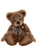 A brown plush teddy bear sits upright against a white background, wearing a small houndstooth bow tie, with large flat feet extended forward.