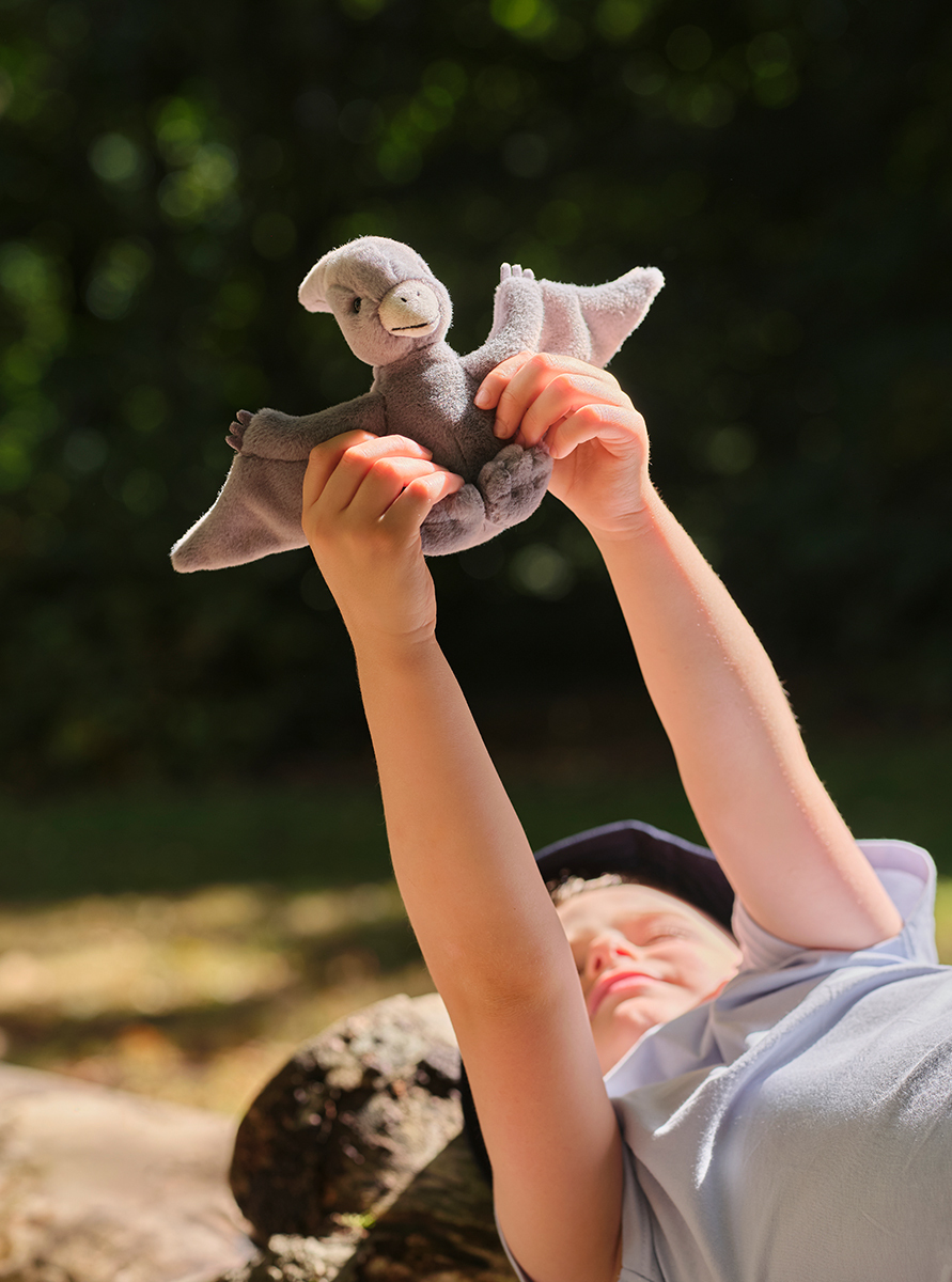 Meet Cuddle Cub Pterodactyl