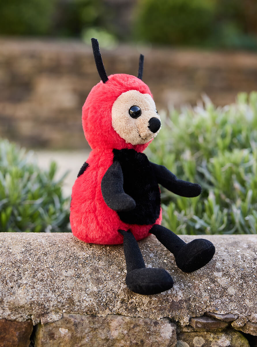 Welcome Leaf Ladybird