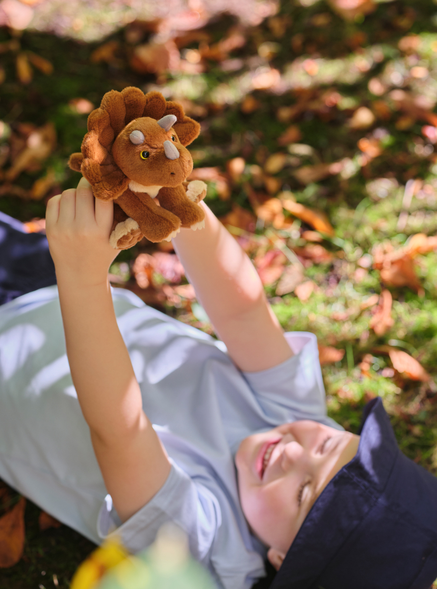 Discover Cuddle Cub Triceratops