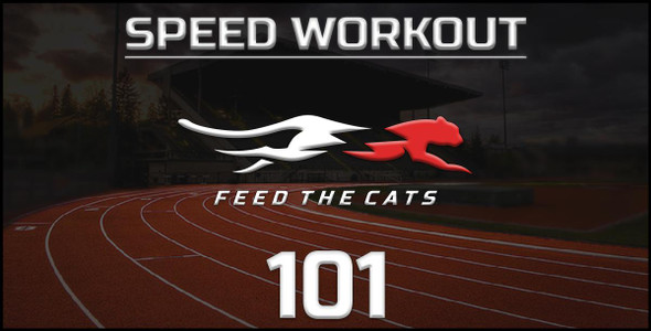 Feed the Cats: The Off-Season Speed Workout