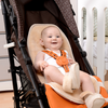 Pram Liner