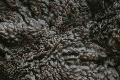 Understanding Wool Loft: How High-Micron Poll Dorset Fibres Create Better Support