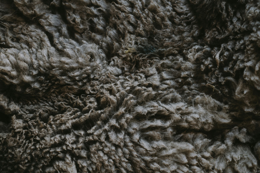 Understanding Wool Loft: How High-Micron Poll Dorset Fibres Create Better Support