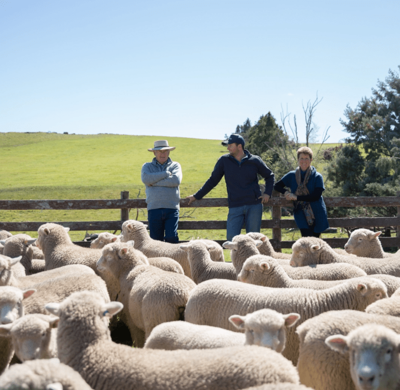 farmers watching the herd