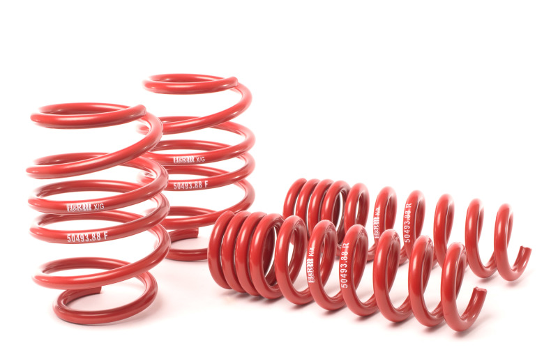 H&R Springs Race Spring Kit - 50493-88