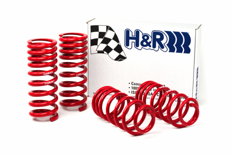 H&R Springs Race Spring Kit - 51650-88