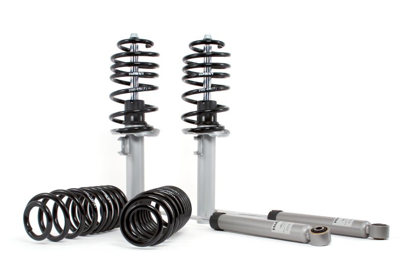 Coil Spring Lowering Kit / Shock Absorber Kit - 31043-1