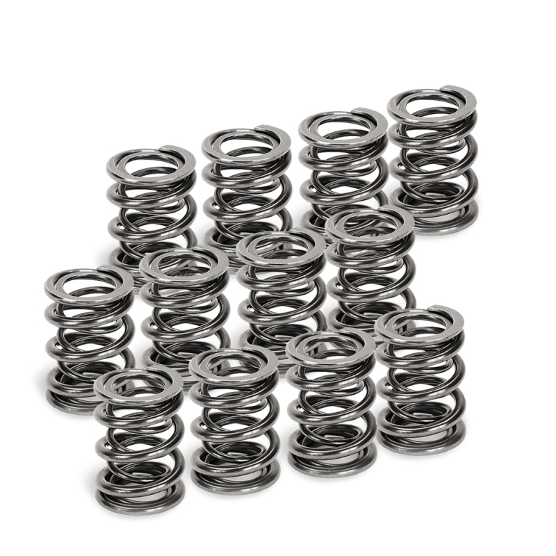 Supertech VW VR6 Dual Valve Spring - Set of 12 - SPR-V2093-4-12