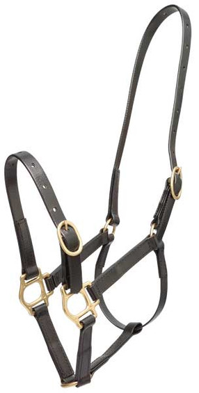 Zilco 19mm PN Headstall - Assorted Colors and Sizes