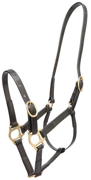 Zilco 19mm PN Headstall - Assorted Colors and Sizes