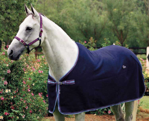 ZILCO  Defender Wool Rug