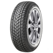 GT RADIAL Winterpro2: 205/55R17 95H XL